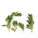 대전정육점 이미지