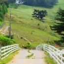 황우목장 이미지