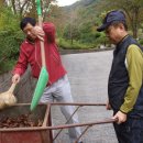 청록환경 Daum카페