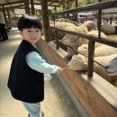 태권목장 이미지