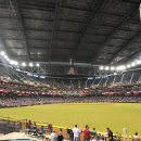 스파피닉스 이미지