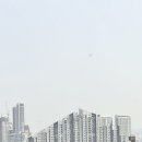 고대영동물병원 이미지