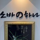 문화동042 | 병무청근처맛집 소바노하나｜대전 냉모밀 제대로 즐긴 문화동 소바맛집 후기