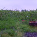 새실농장 이미지