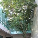 소암미술관 이미지