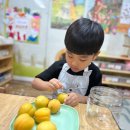 세움어린이집 이미지