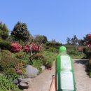 (주)보향다원 이미지