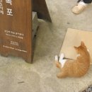 당근빈티지 네이버블로그