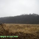 덕산 양계 이미지