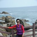 불루모아 이미지