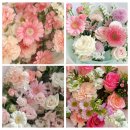 매양중학교 | 양벌초 매곡초 졸업식 꽃다발 이른 아침 픽업가능!