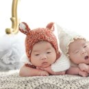 스튜디오 오월애
