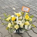 배양리두루치기 수유점 이미지