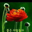 사랑오리 이미지