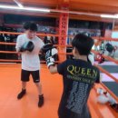 강철복싱 이미지