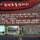 용호장 이미지