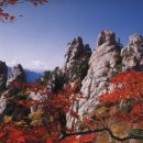 백화쉼터 이미지