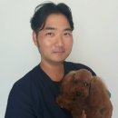 탁이네 이미지