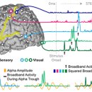 지구전자 이미지