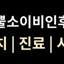코뿔소이비인후과의원 네이버블로그