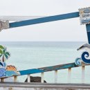 글라드 세화 이미지