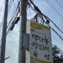 🏕️가평 백자동캠핑장 캠핑 내돈내산 힐링 오토캠핑 후기