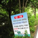 대운산자연휴양림 이미지