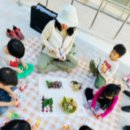 자연어린이집 | 공동육아 어린이집 솔직후기 | 부모들이 직접 말하는 나무를키우는햇살 이야기