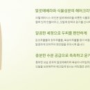 알로에마임 - 안산시 단원구 새뿔길 52 | 알로에마임