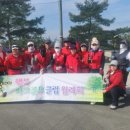 쉐르빌꽃 네이버블로그