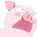 연세차오름의원 이미지