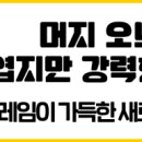 주식회사 피어코퍼레이션 이미지