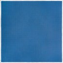 아그네스 이미지