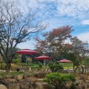 다온숲풀빛정원 이미지