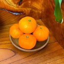 방가네농장 이미지