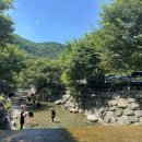 돌담집펜션 | 너무 좋아 두 번째 방문한 청도돌담집펜션평상 이용 후기 (피크닉세트 5번)