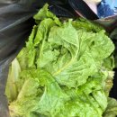 덕평농장 이미지