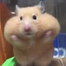 인성 Daum카페