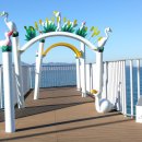 석양을 품은 물고기 이미지