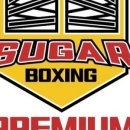 슈가복싱 프리미엄 이미지