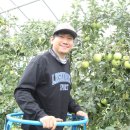 청양군농업기술센터 | 청양 이정연 대표, 비가림 시설로 사과 탄저병 예방