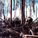 미 173공수여단이 박살났던 닥토 전투 이미지