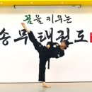 송무 태권도 이미지