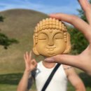 댕겨와유 | 6월의 경주는🌳