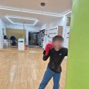 신은철복싱월드 이미지