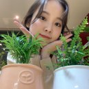 닭발인생 네이버블로그