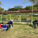 용신16 이미지