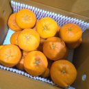 태연농장 이미지