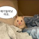 산들애풀하우스 | 제주도 남자친구랑 5박 6일 커플 여행 | 2박 3일 | 9월 가볼만한곳 | 커플스냅 | 가성비숙소추천 | 런던...