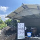 들꽃세상 | 🍽 [고창 대형 카페] 들꽃카페수목원